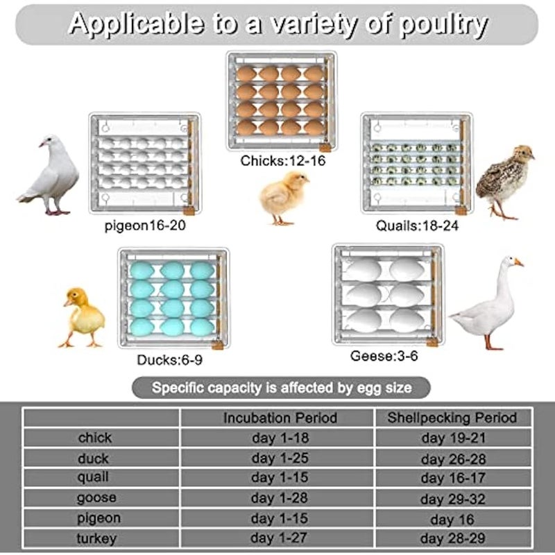 عربست حاضنة لتفقيس البيض من هيثيا، حاضنة البيض، حاضنة بيض الدجاج، بيض السمان، تقليب البيض التلقائي - Image 3